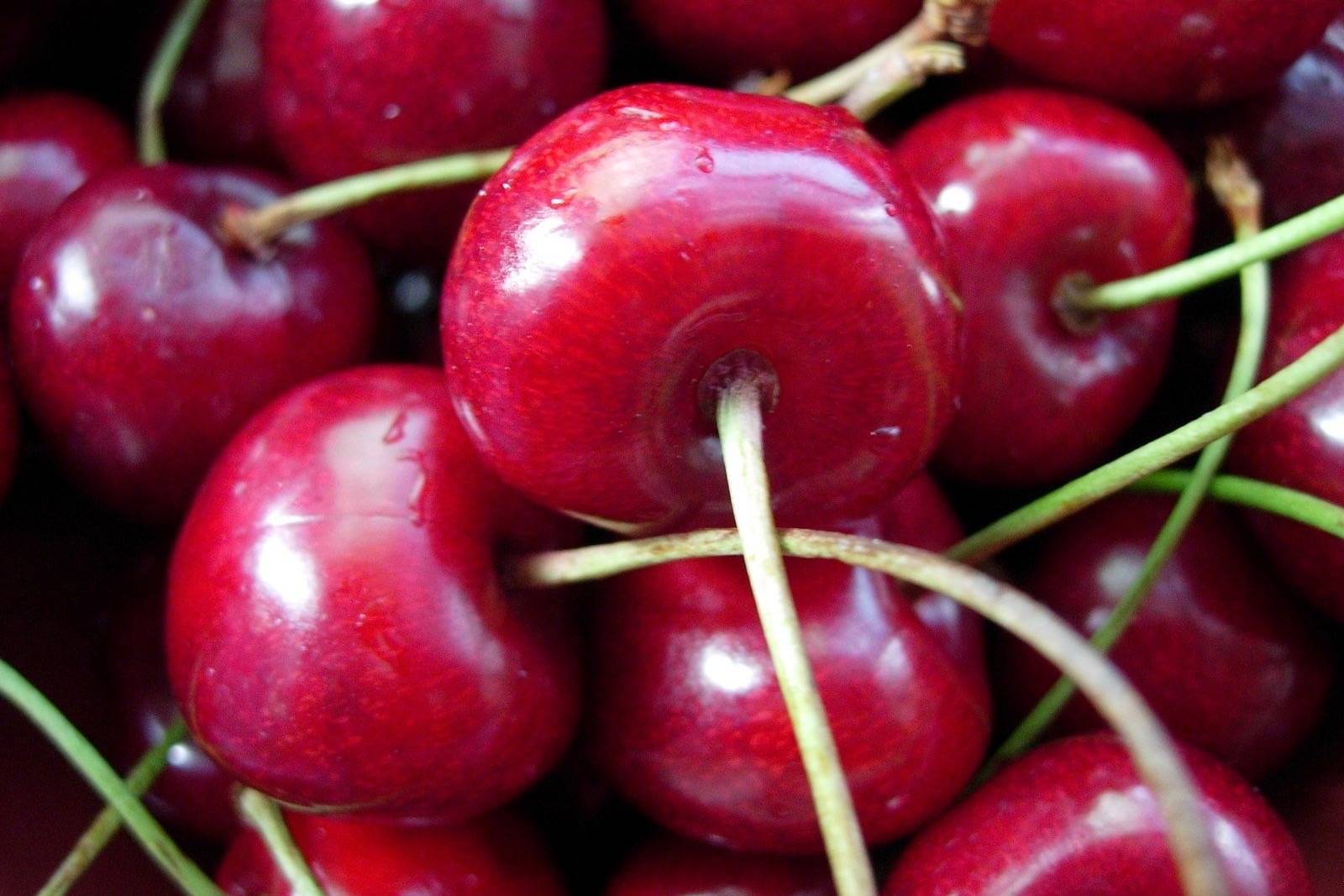 Washington farmers need tariff relief | Brunell