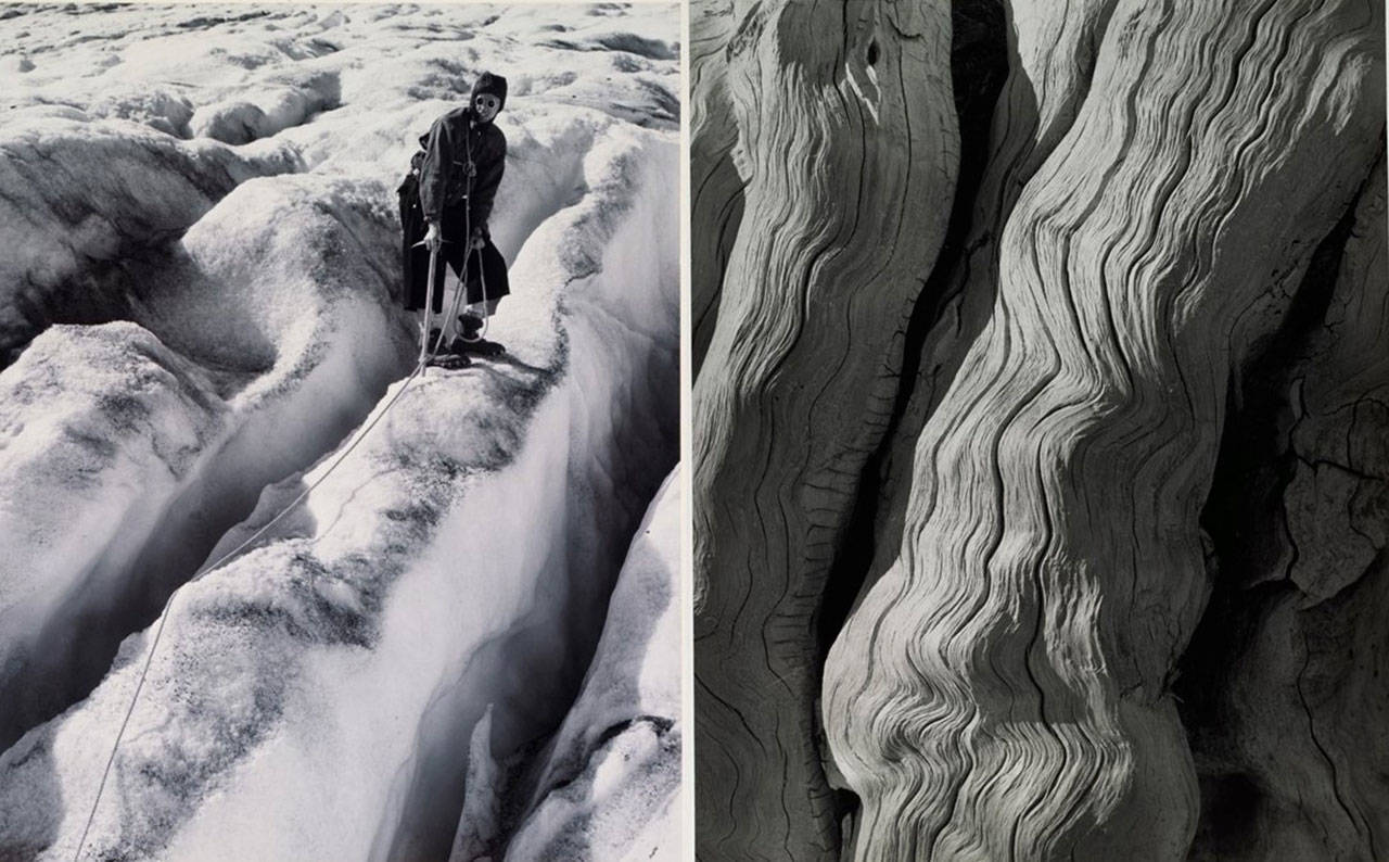 Alpine photographer George L. Kinkade provides inspirational photo pairings where textures and elements from his larger landscapes compliment similar themes found in his close-ups of the natural world. WRVM PHOTO