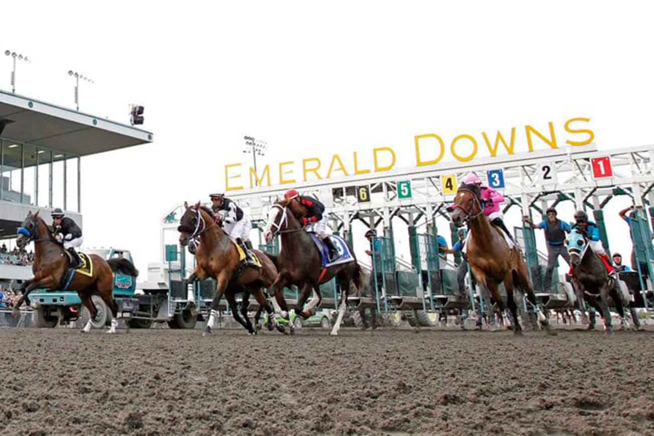 The field takes off at the start of the 2018 Longacres Mile. COURTESY TRACK PHOTO