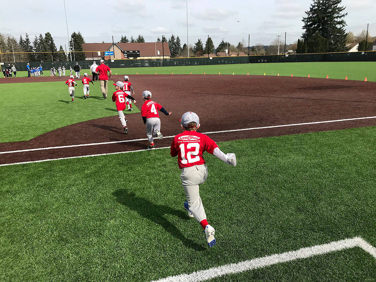 Little Leaguers dart onto the synthetic field at Auburn High School for opening day ceremonies last year. Brannan Park’s main ballfield, an important venue for league games, will get new turf, suitable for year-round play. ROBERT WHALE, Auburn Reporter