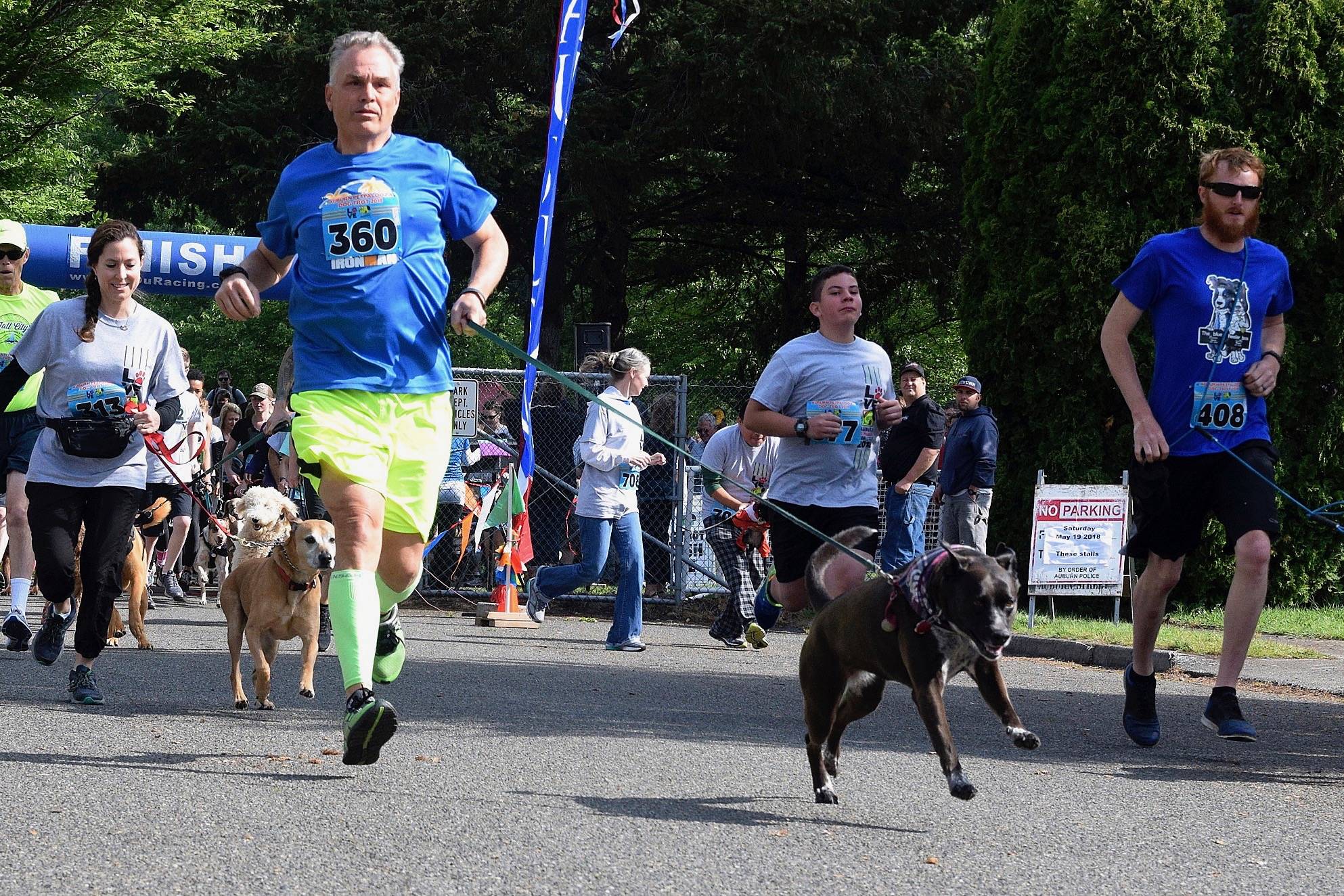 Runners and their furry friends start the Dog Trot at Game Farm Park last year. RACHEL CIAMPI, Auburn Reporter
