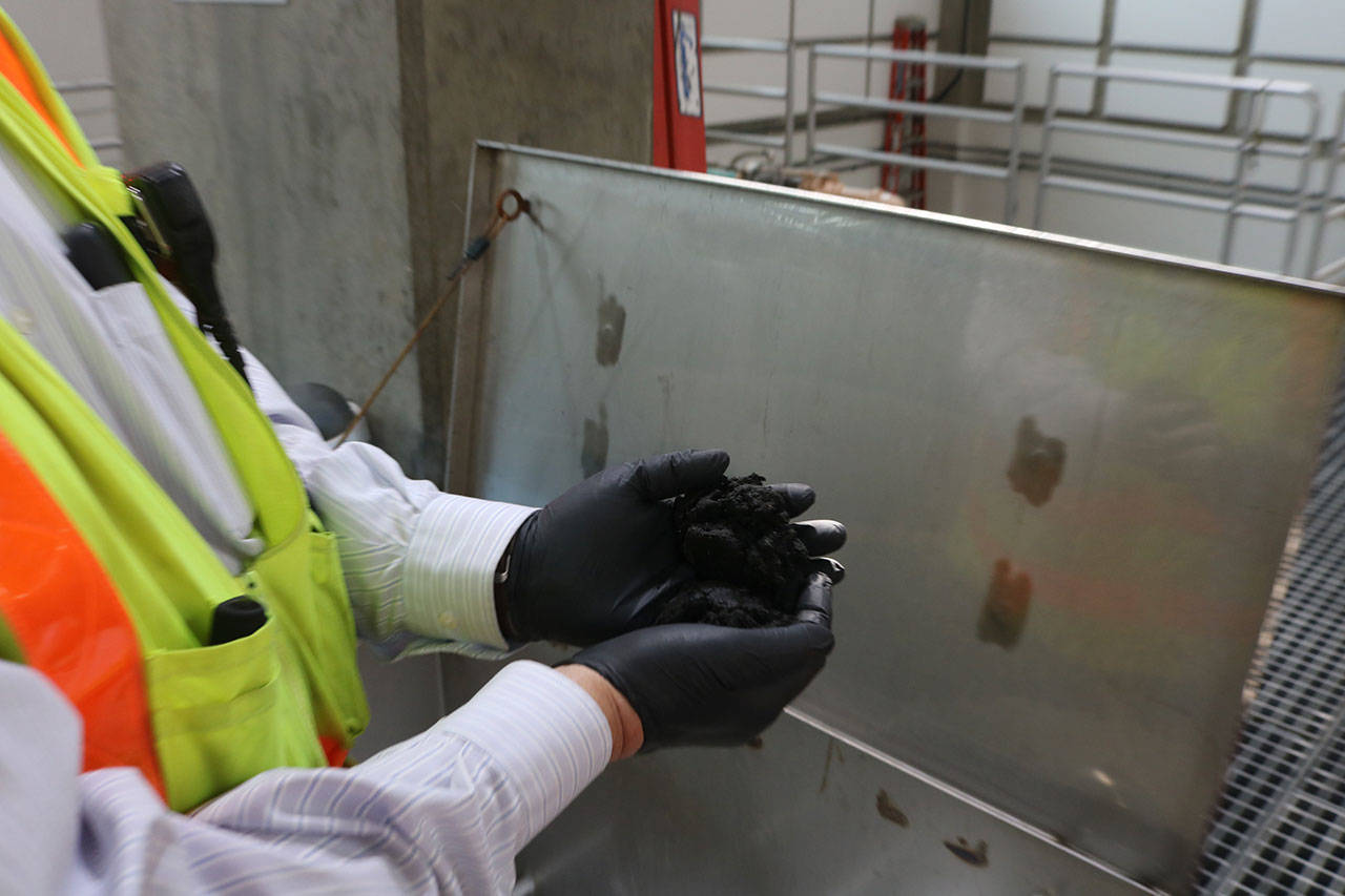 Jim Pitts, King County system analyst holds a handful of Loop, a powerful fertilizer derived from wastewater which the county sells to commercial buyers. The carbon-rich product offsets the carbon expended in operating the plant. Aaron Kunkler/staff photo