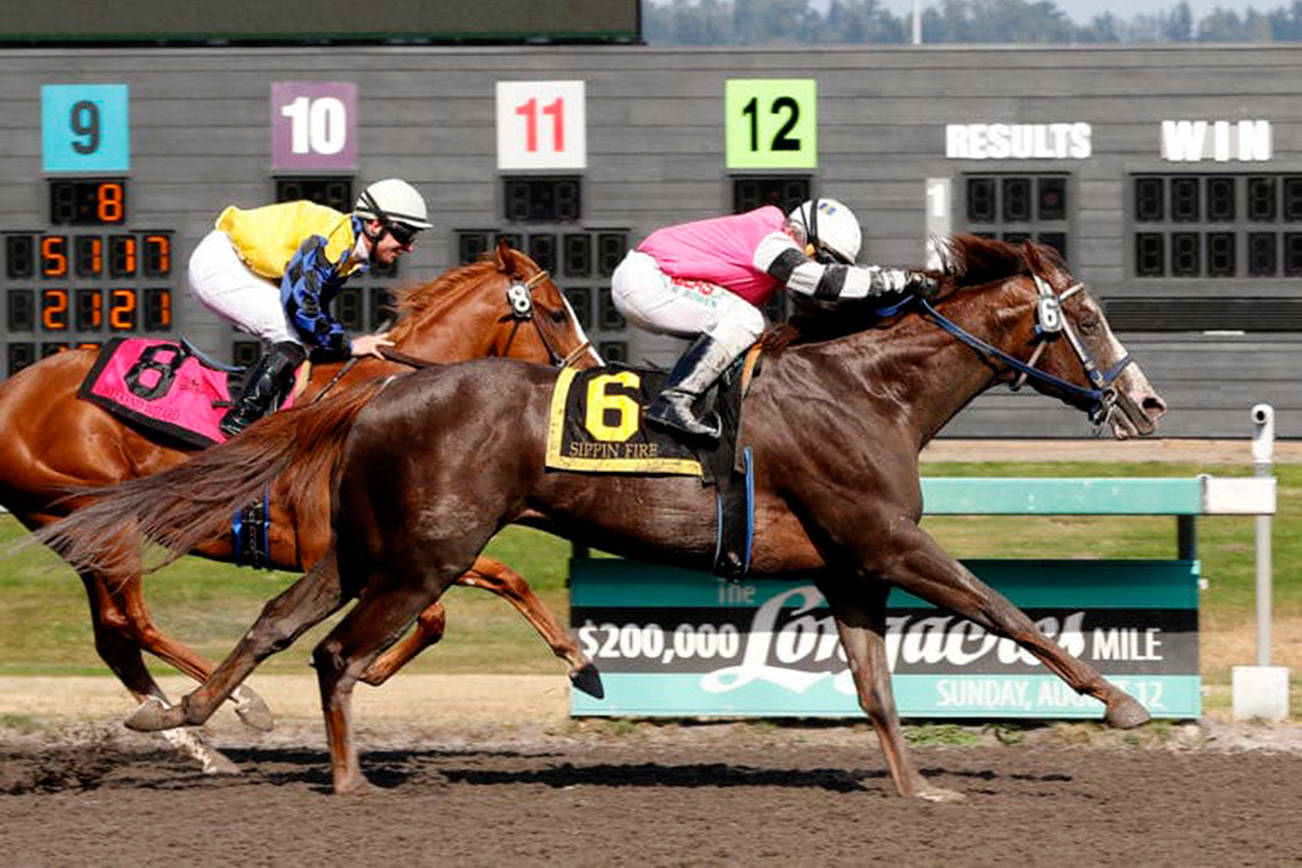 Sippin Fire wears down Canadian invader Weekend Wizard in a heated stretch battle to scored a three-quarter-length victory in the $50,000 Muckleshoot Derby for 3-year-olds at Emerald Downs last July. Sippin Fire, the Horse of the Meeting, returns to the Auburn track this season. COURTESY PHOTO