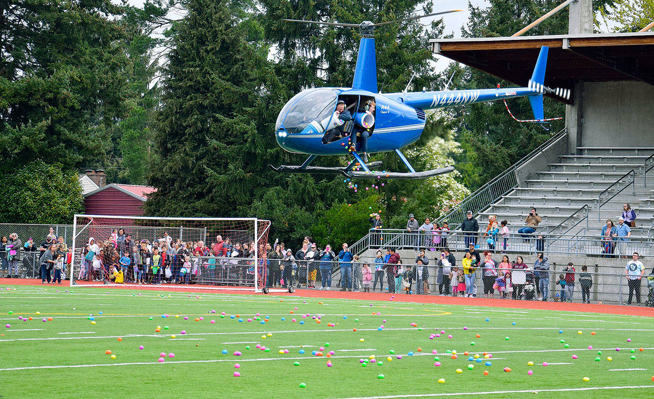 Organizers release thousands of Easter eggs from a helicopter during a brief visit to Auburn Memorial Field on Saturday, part of The Hop festival. Children and their families wait to collect them. RACHEL CIAMPI, Auburn Reporter