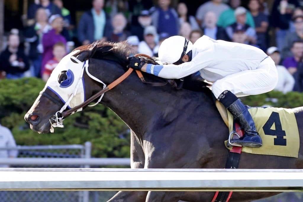 Hit the Beach charges to victory in the Pete Pedersen last year. COURTESY TRACK PHOTO