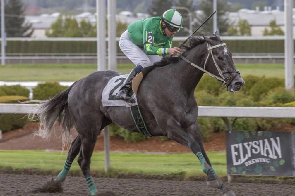 Ryan Barber guides Dontkissntell to victory in the $18,500 Muckleshoot Casino Purse for fillies and mares Saturday at Emerald Downs. COURTESY TRACK PHOTO