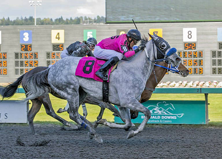 Awhitesportscoat, with Kevin Orozco up, edges Cody’s Choice to capture the $18,500 Budweiser Purse for 3-year-olds and up Sunday at Emerald Downs. COURTESY TRACK PHOTO