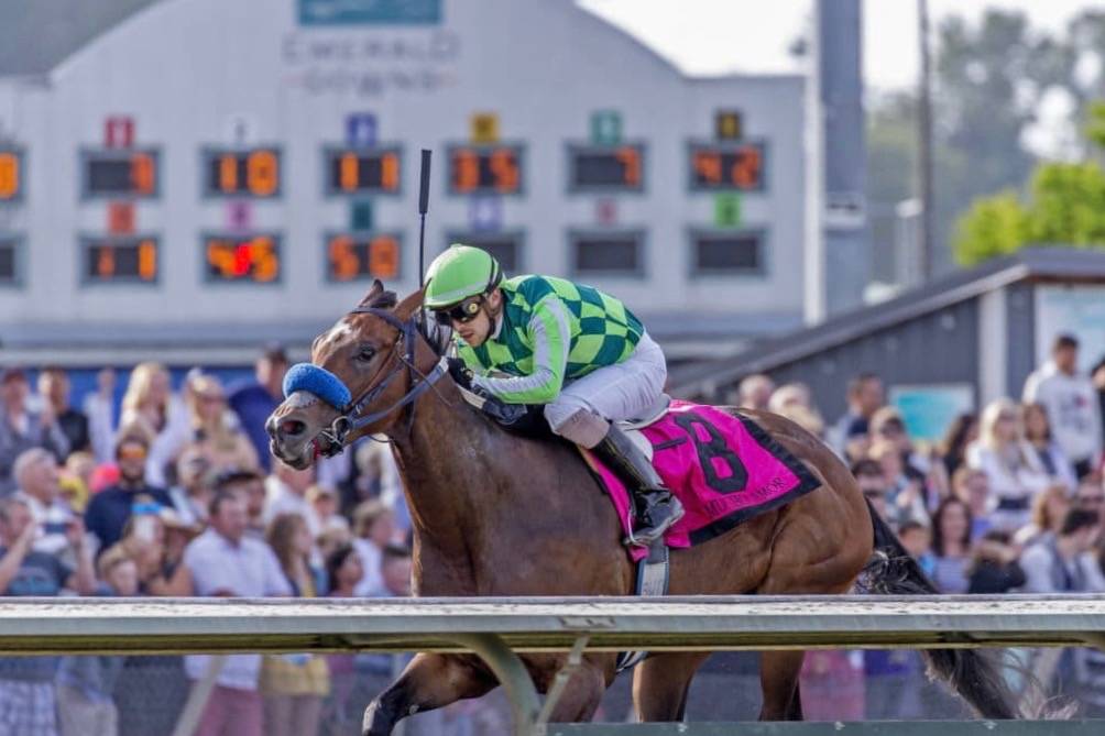 Mucho Amor, with Juan Hernandez up, romps to a six-length victory in the $50,000 Seattle Stakes for 3-year-old fillies at Emerald Downs on Sunday. COURTESY TRACK PHOTO