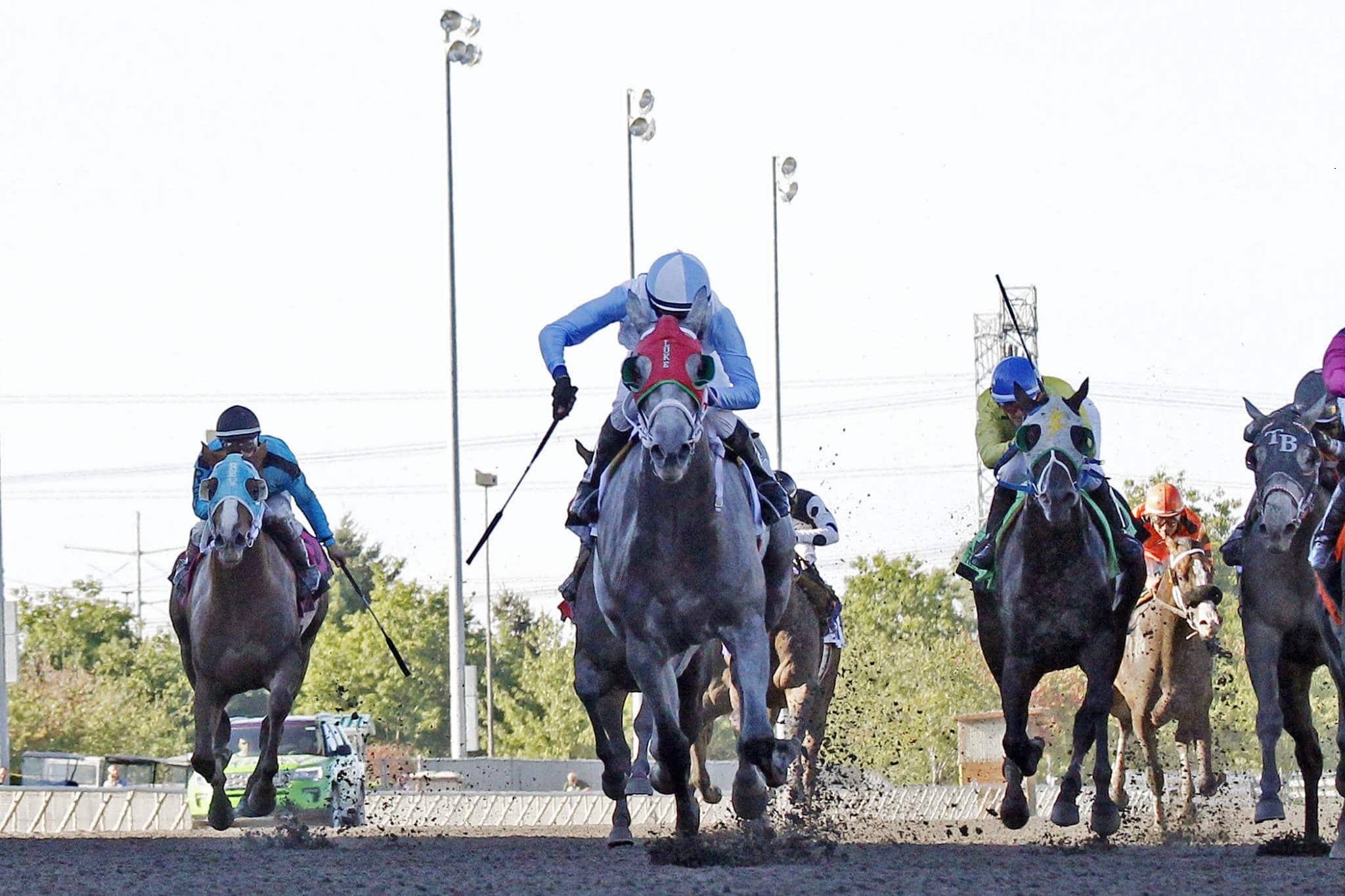 Fuzzy Dolphin begins his 2019 campaign. COURTESY TRACK PHOTO