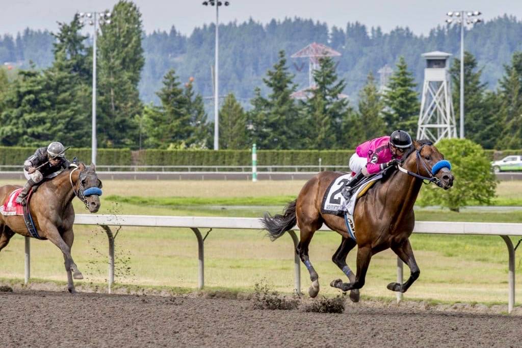 Anyportinastorm, with Juan Hernandez up, romps to victory in the $50,000 Governor’s Stakes for 3-year-olds and up at Emerald Downs on Sunday. COURTESY TRACK PHOTO