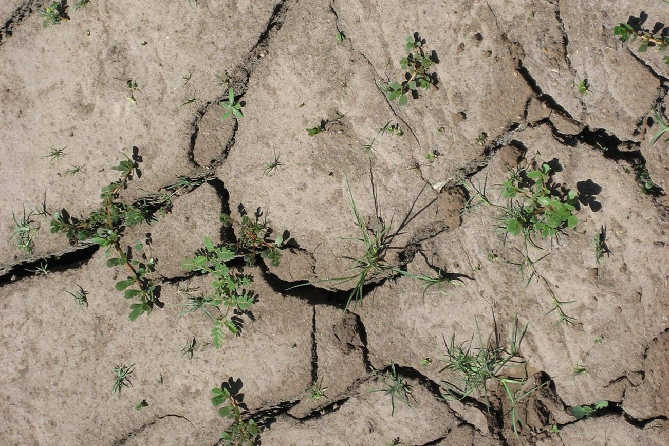 Funding now available to public agencies for drought relief
