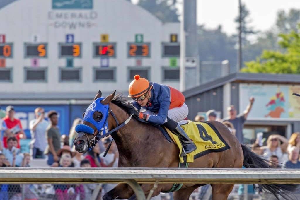 Franklin Ceballos rides Baja Sur to a 1¾-length victory in the $50,000 Coca-Cola Stakes for 3-year-olds at Emerald Downs on Sunday. COURTESY TRACK PHOTO