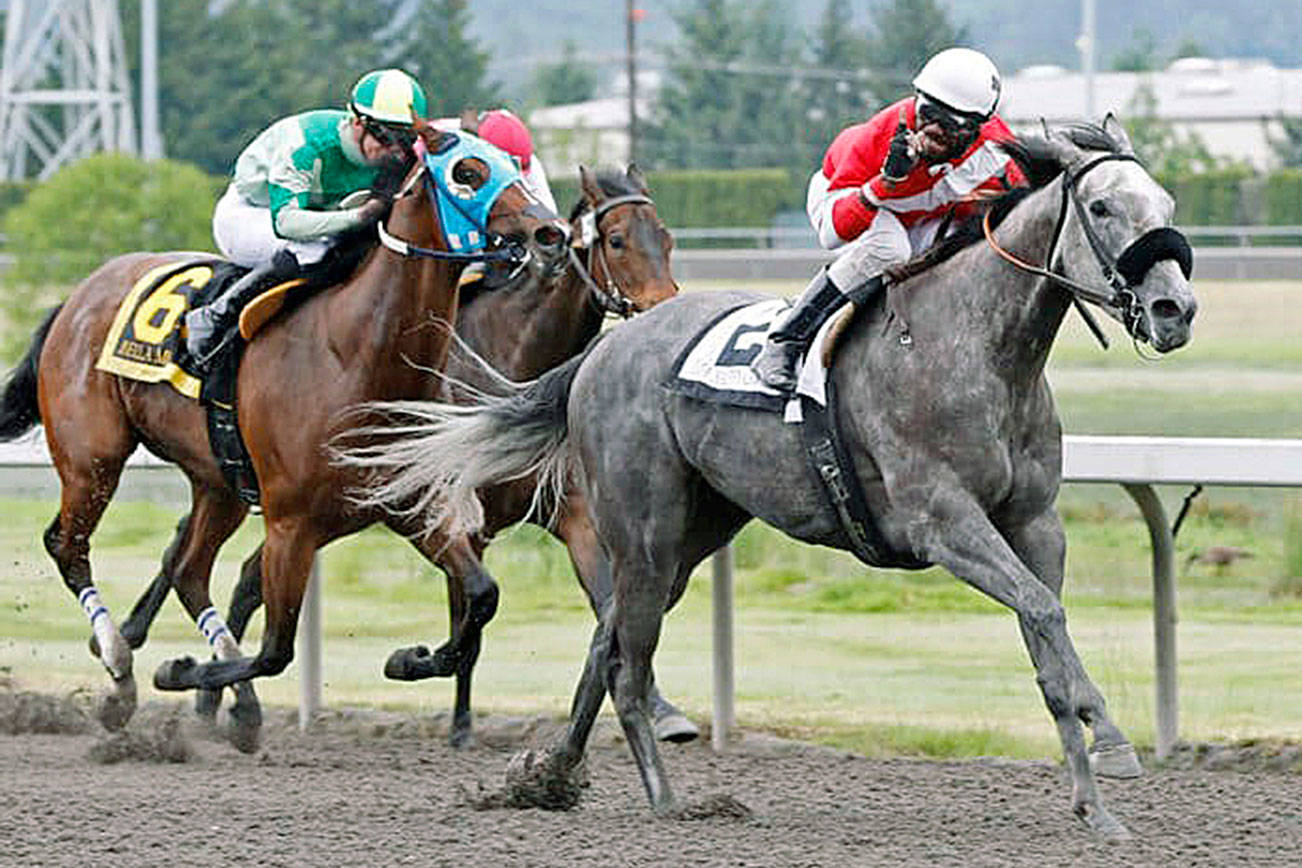 Ima Happy Cat and Rocco Bowen clear in the stretch en route to capturing the $50,000 Seattle Stakes last year. COURTESY TRACK PHOTO