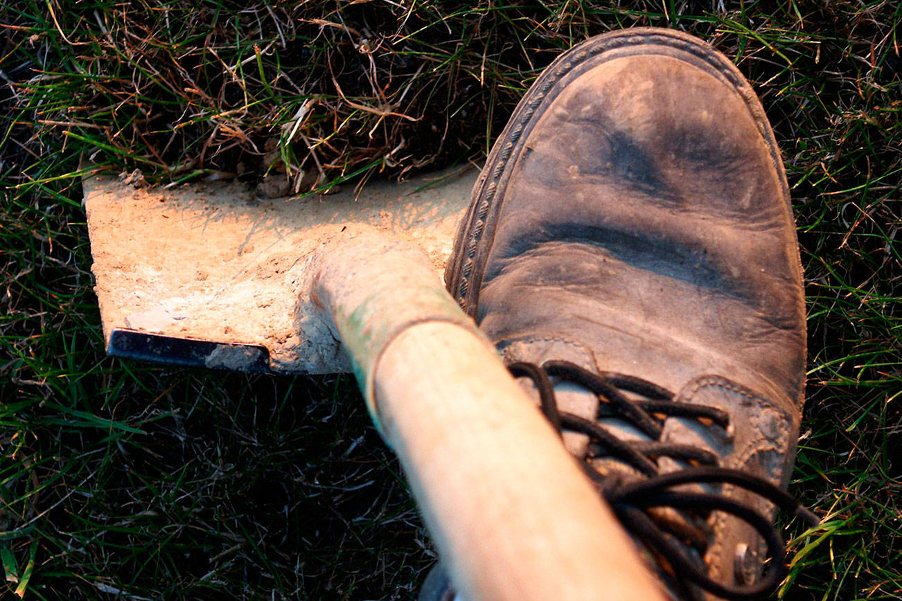 Washington Conservation Corps opens 300 environmental positions statewide