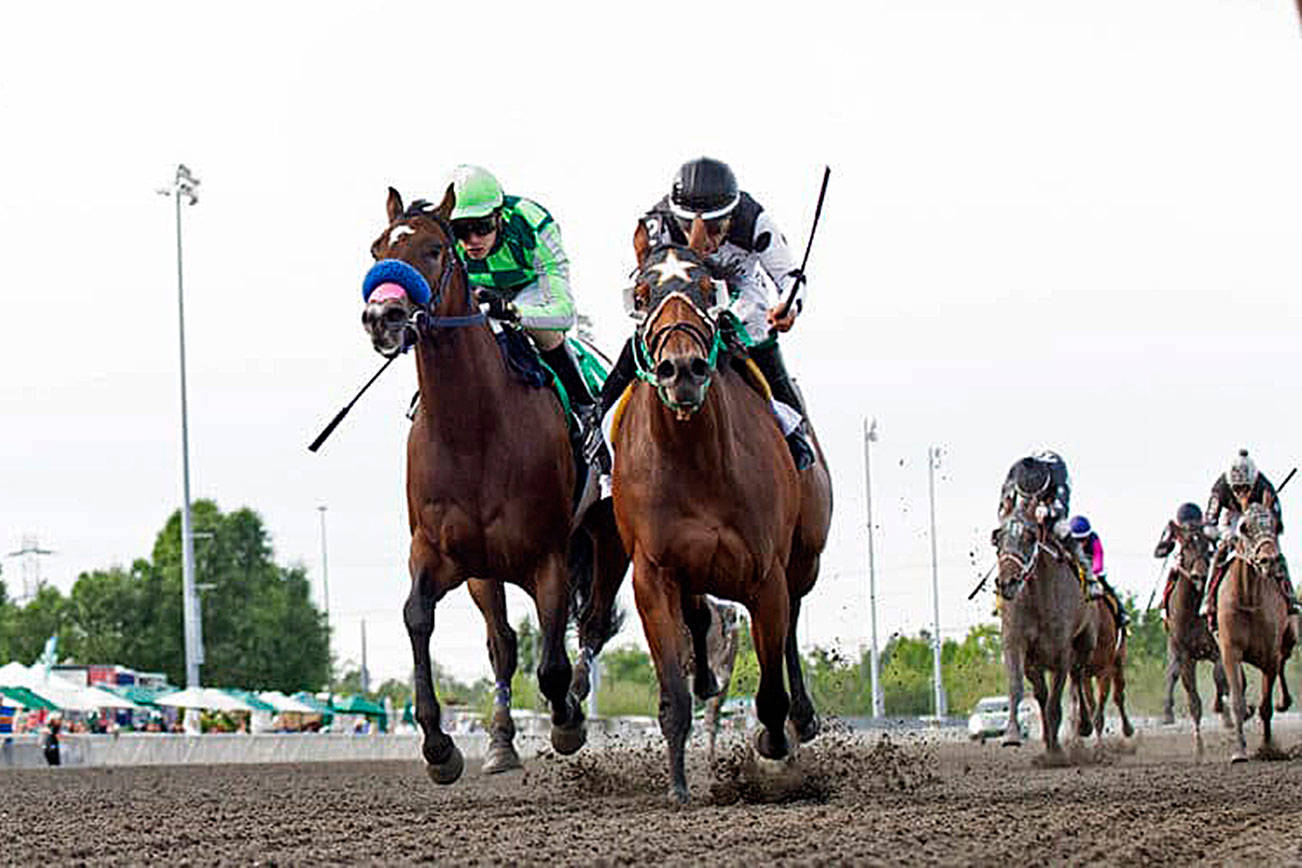 Alittlelesstalk, right, and Mucho Amor, left, continue their rivalry Sunday in the $50,000 Irish Day Stakes for 3-year-old fillies. COURTESY TRACK PHOTO