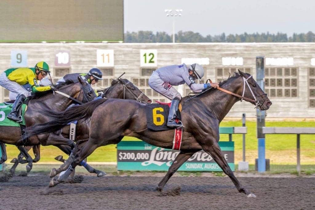 Hit the Beach, with Jose Zunino up, captured Sunday’s $21,200 feature race for 3-year-olds and up at Emerald Downs. COURTESY TRACK PHOTO