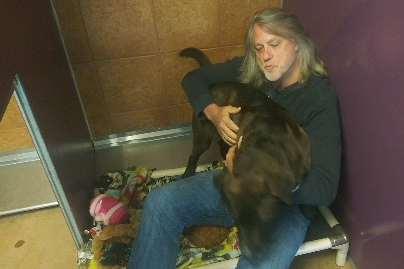 Phil Morgan, executive director of the Auburn Valley Humane Society Animal Shelter, plays with one of the dogs in his care. ROBERT WHALE, Auburn Reporter