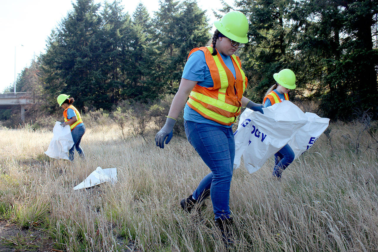 Madelyn Drangstviet, 14, searches for litter along State Route 18 during a work day with the Ecology Youth Corps program on Aug. 20. OLIVIA SULLLIVAN, Federal Way Mirror