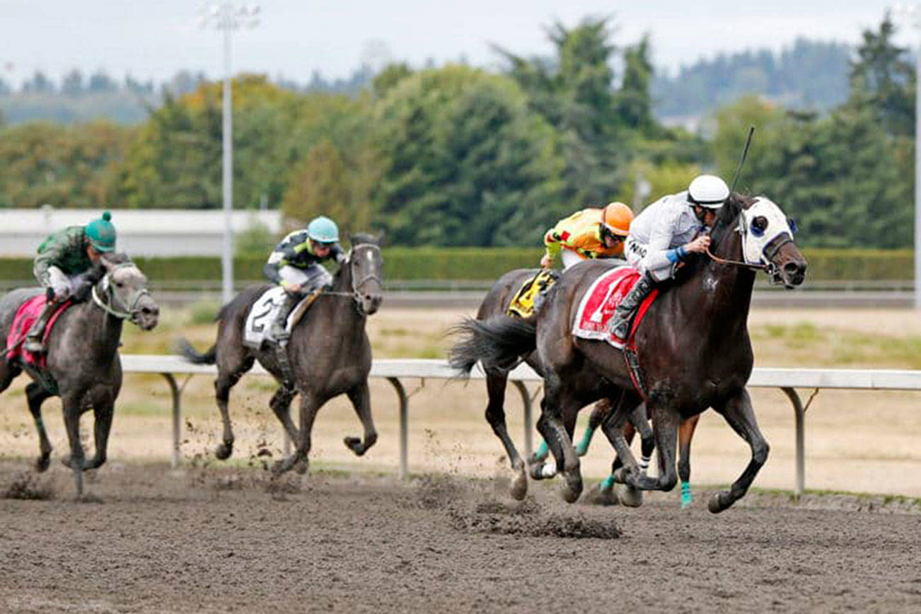 Hit the Beach defends his title in the Muckleshoot Tribal Classic on Sunday. COURTESY TRACK PHOTO