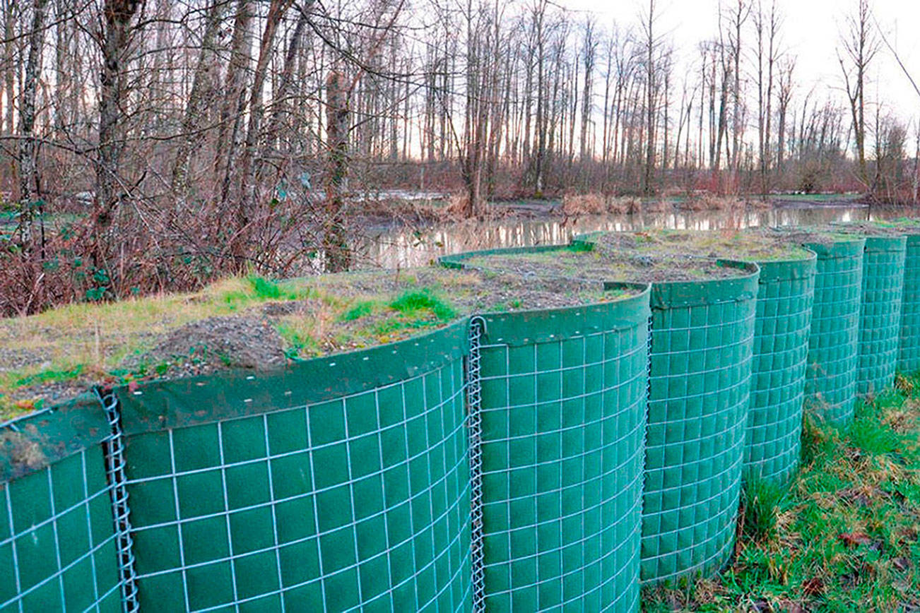HESCOs, a temporary flood barrier, will be placed at Pacific Park along the flood-prone White River next week. REPORTER FILE PHOTO