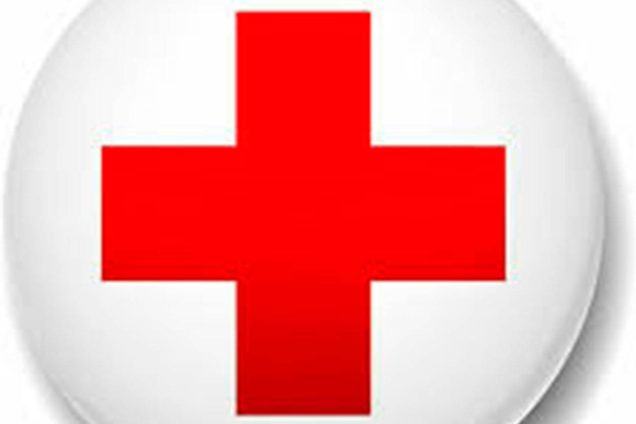 download red cross fire alarm download red cross fire alarm