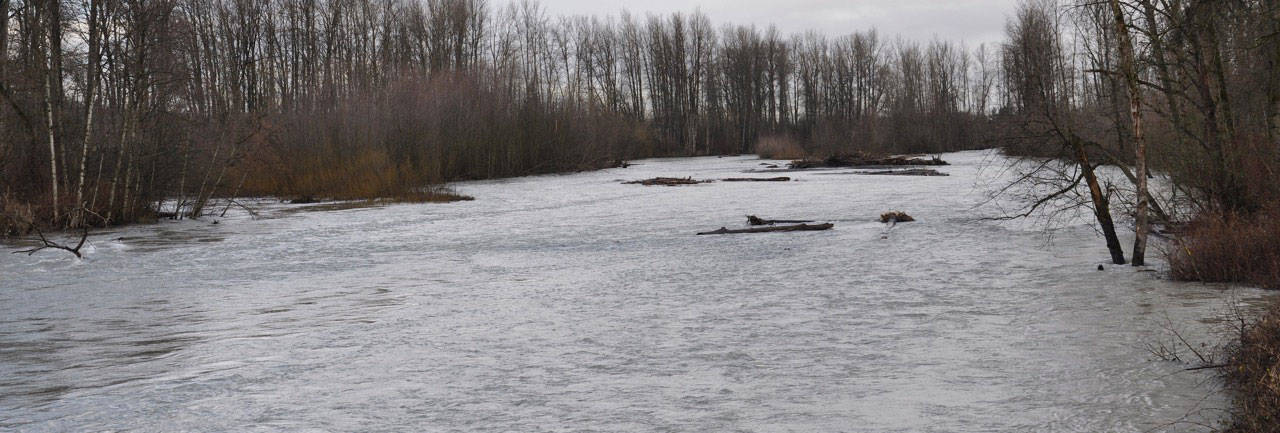 The flood-prone White River along Pacific. RACHEL CIAMPI, Auburn Reporter