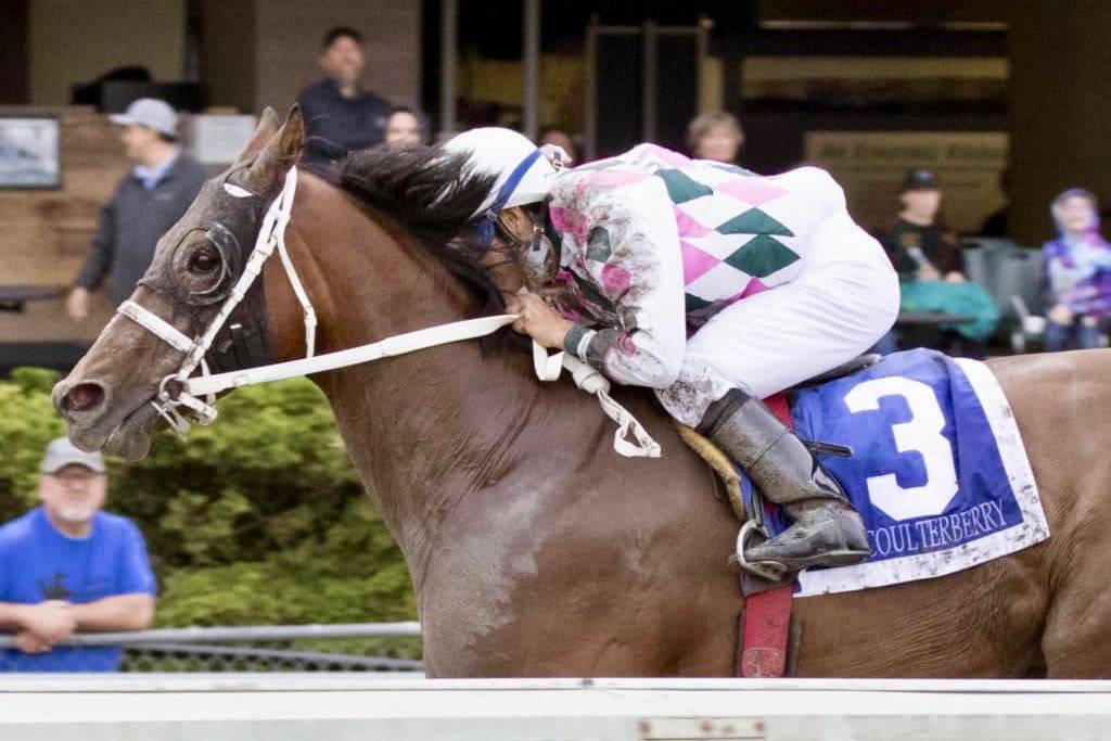 Coulterberry and jockey Amadeo Perez charge to victory in the $50,000 Muckleshoot Tribal Classic in Septemver at Emerald Downs. COURTESY TRACK PHOTO