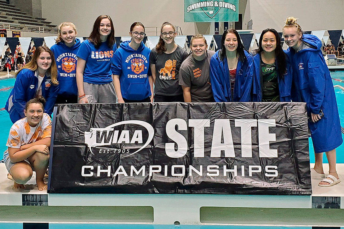 Record-setting Lions savor solid finish at state swim meet