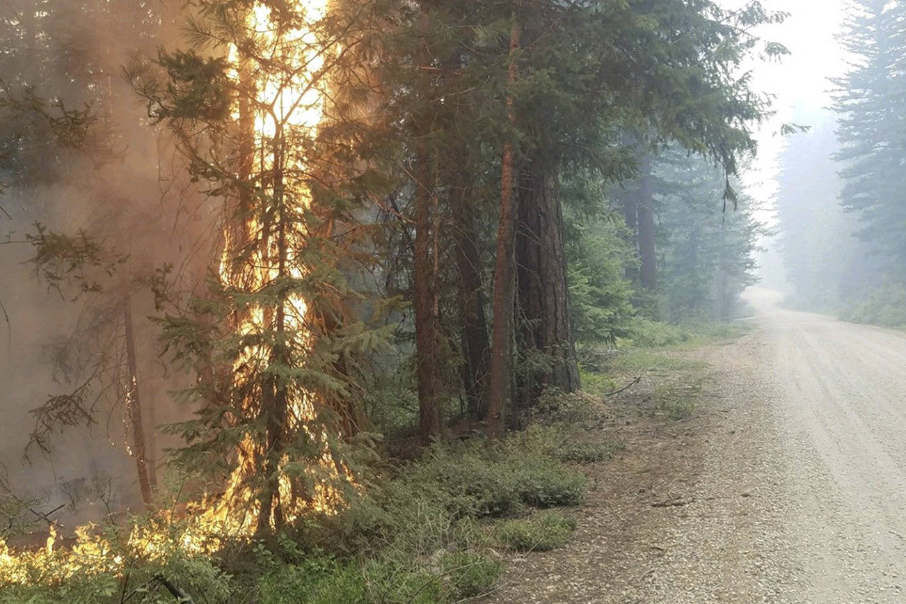 Fire along Twisp River Road in the Okanogan Wenatchee National Forest in 2018. Courtesy photo