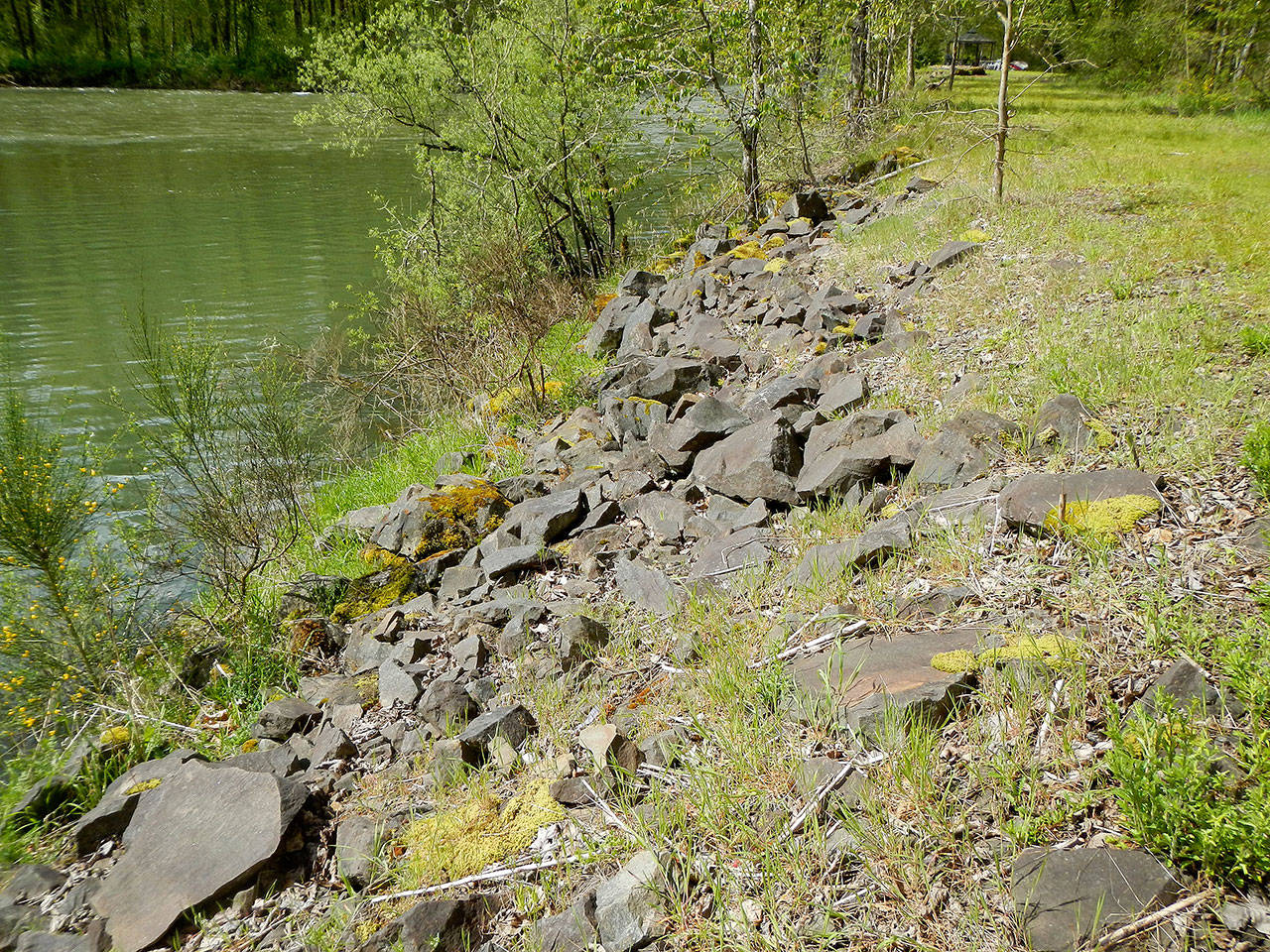 King County proposes to restore a dynamic mosaic of riverine and floodplain habitats along .3 mile of the Middle Green River off Green Valley Road about six miles east of the city of Auburn. COURTESY PHOTO, Washington State Recreation and Conservation Office