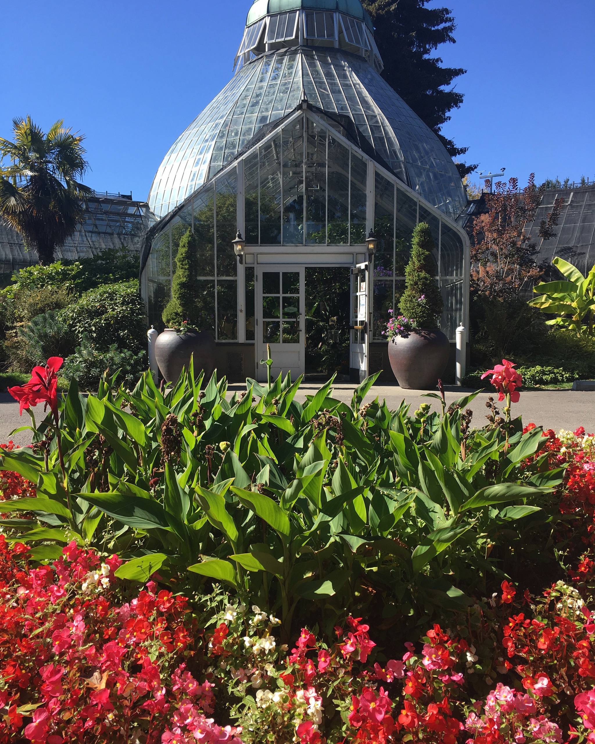 With more than 250 species of exotic plants and seasonal floral displays, the W.W. Seymour Botanical Conservatory is a much-loved sanctuary for plants and people.