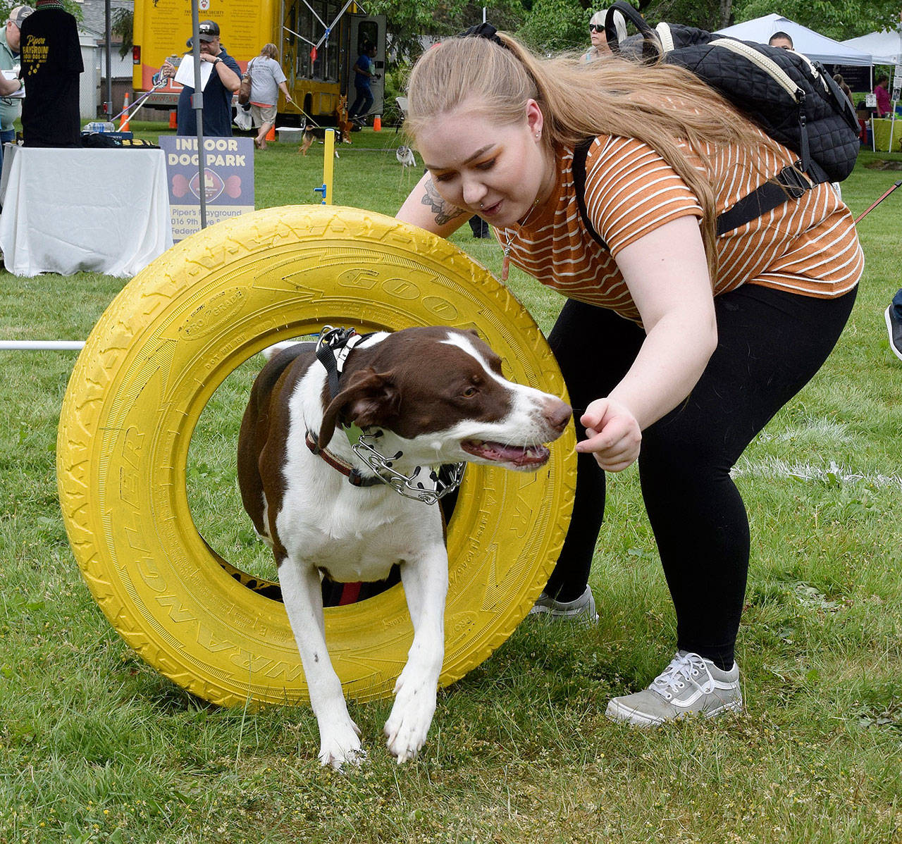 Emma Haddon has her dog Leo run through the tire. FILE PHOTO, Auburn Reporter