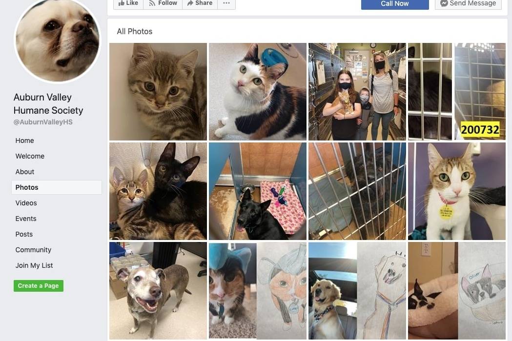 Screenshot from the Auburn Valley Humane Society’s Facebook page.