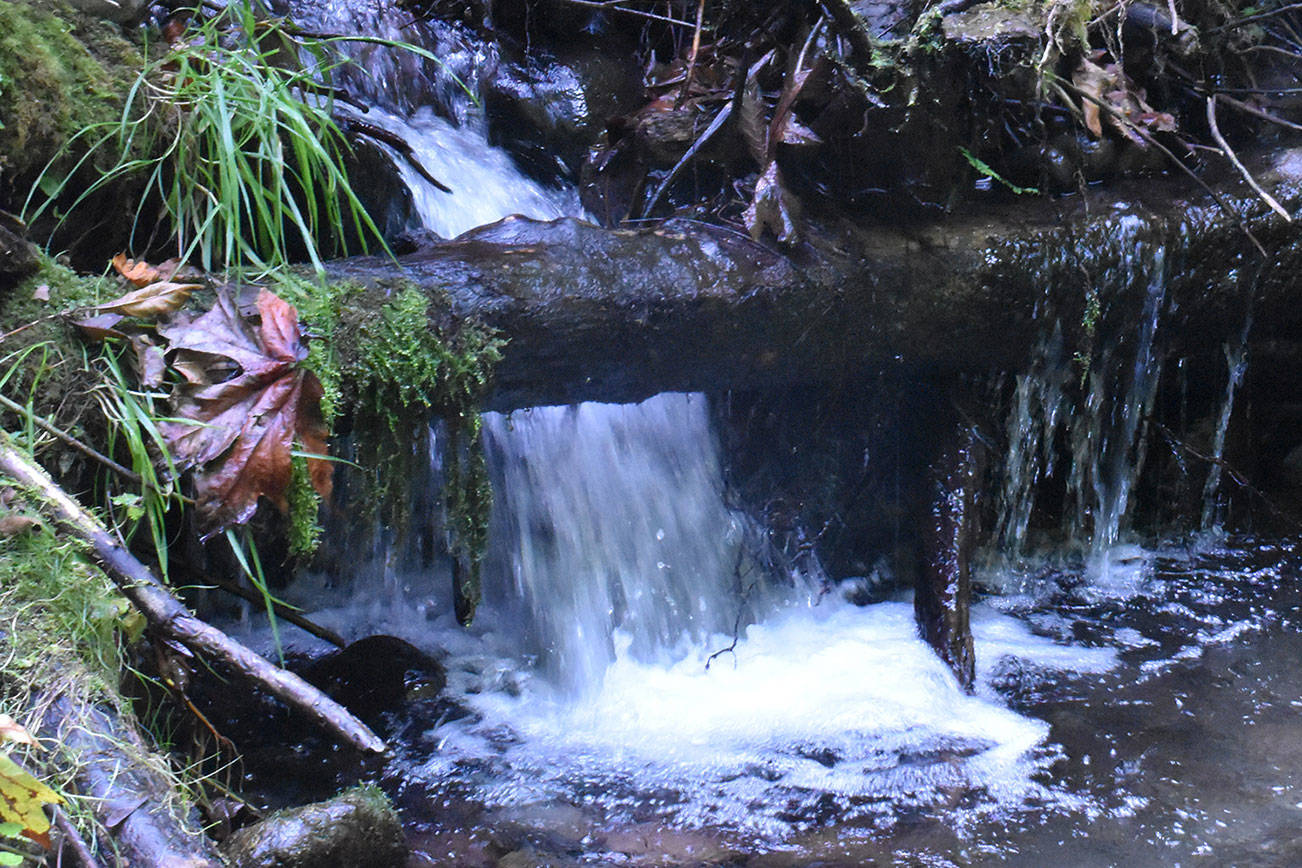 Flaming Geyser State Park: wide open spaces for the family, trails offer solitude