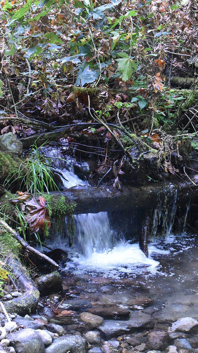 Flaming Geyser State Park is gorgeous this time of year, particularly off the beaten path where trails welcome hikers. The trek to Bubbling Geyser involves a decent climb but the view along the way, including this tiny waterfall, is worth it. Photo by Kevin Hanson