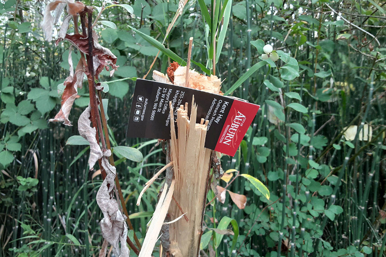 A card was left this week at an Auburn homeless encampment by Kent Hay, the city’s Outreach Program Administrator. Robert Whale/Auburn Reporter