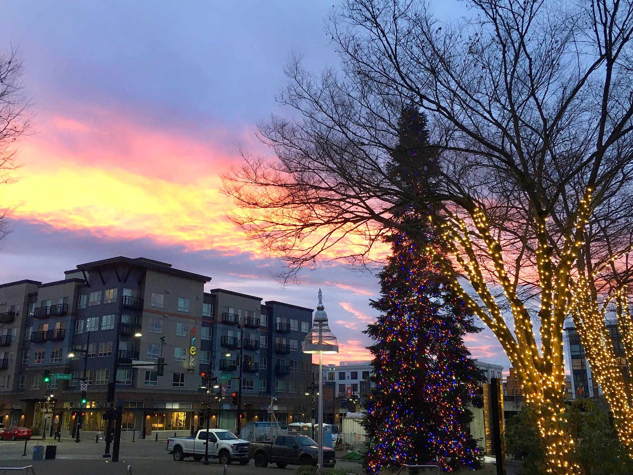Photo courtesy of Michele Weiss 
The Christmas tree in front of Auburn City Hall greets the dawn of a new day.
Photo courtesy of Michele Weiss.