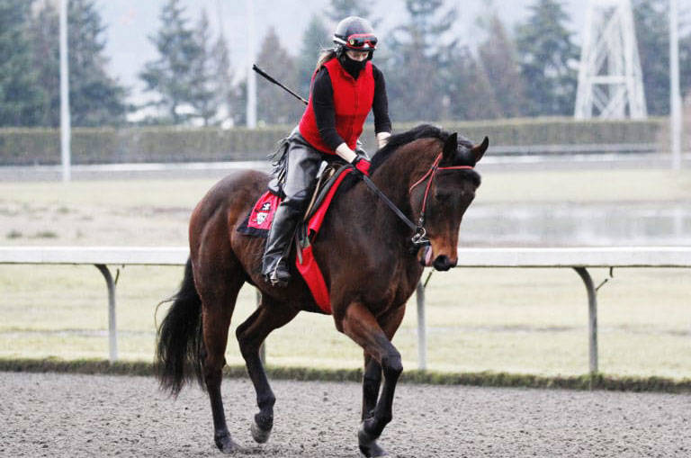 Jennifer Whitaker atop 2020 Horse of the Meeting Dutton at the opening of training March 5 at Emerald Downs in Auburn. COURTESY PHOTO, Emerald Downs