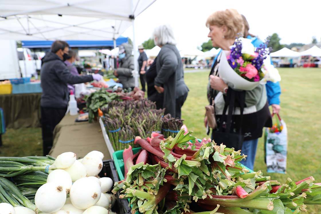 A scene from the Auburn Farmers Market’s opening day June 6. Photo courtesy of Julie Krueger