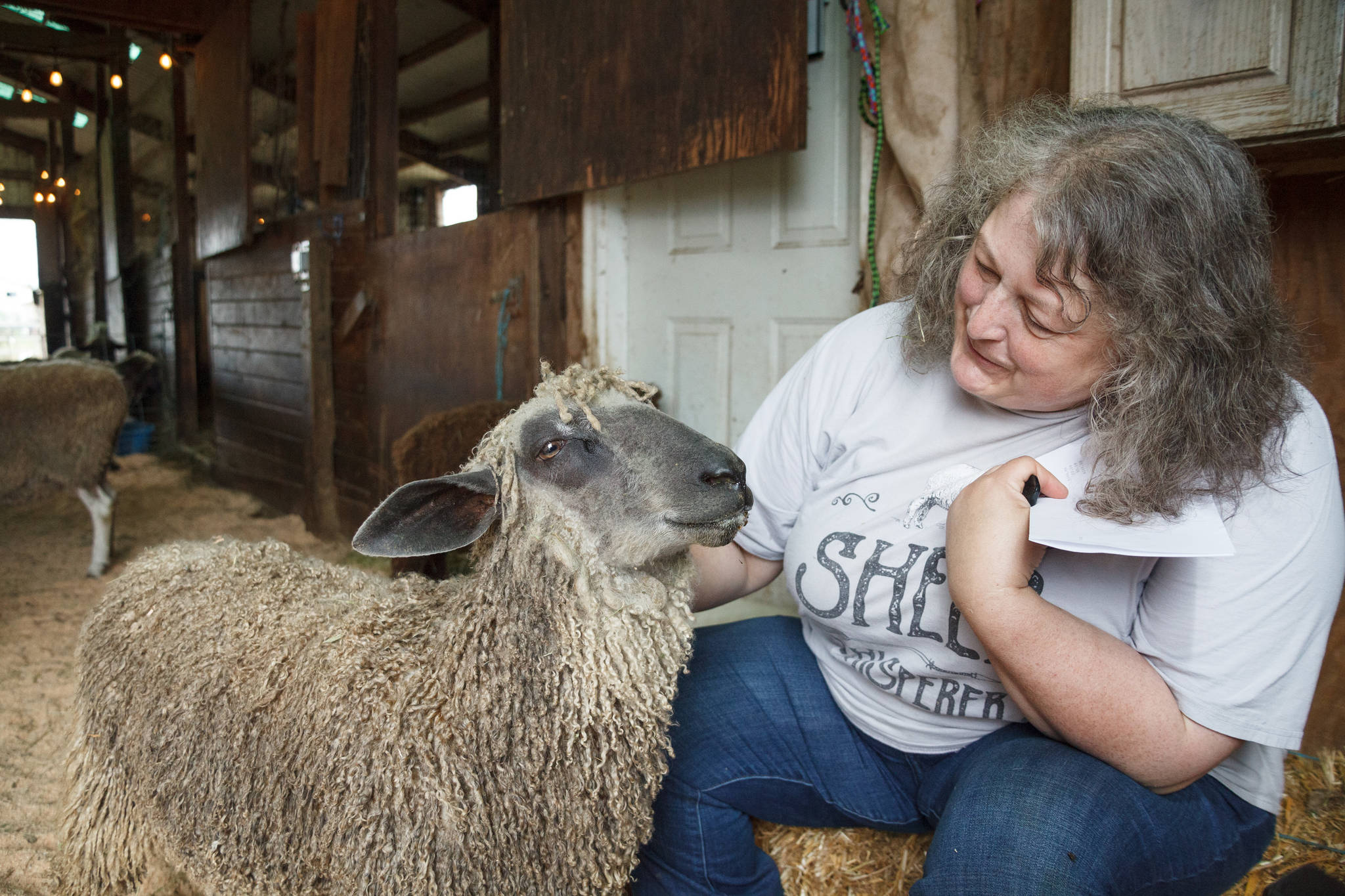 Carolynn Bernard, owner and operator of Bless Ewe Sheep Company pets one of the sheep on her farm in Enumclaw on Aug. 17, 2021. Photo by Henry Stewart-Wood/Sound Publishing