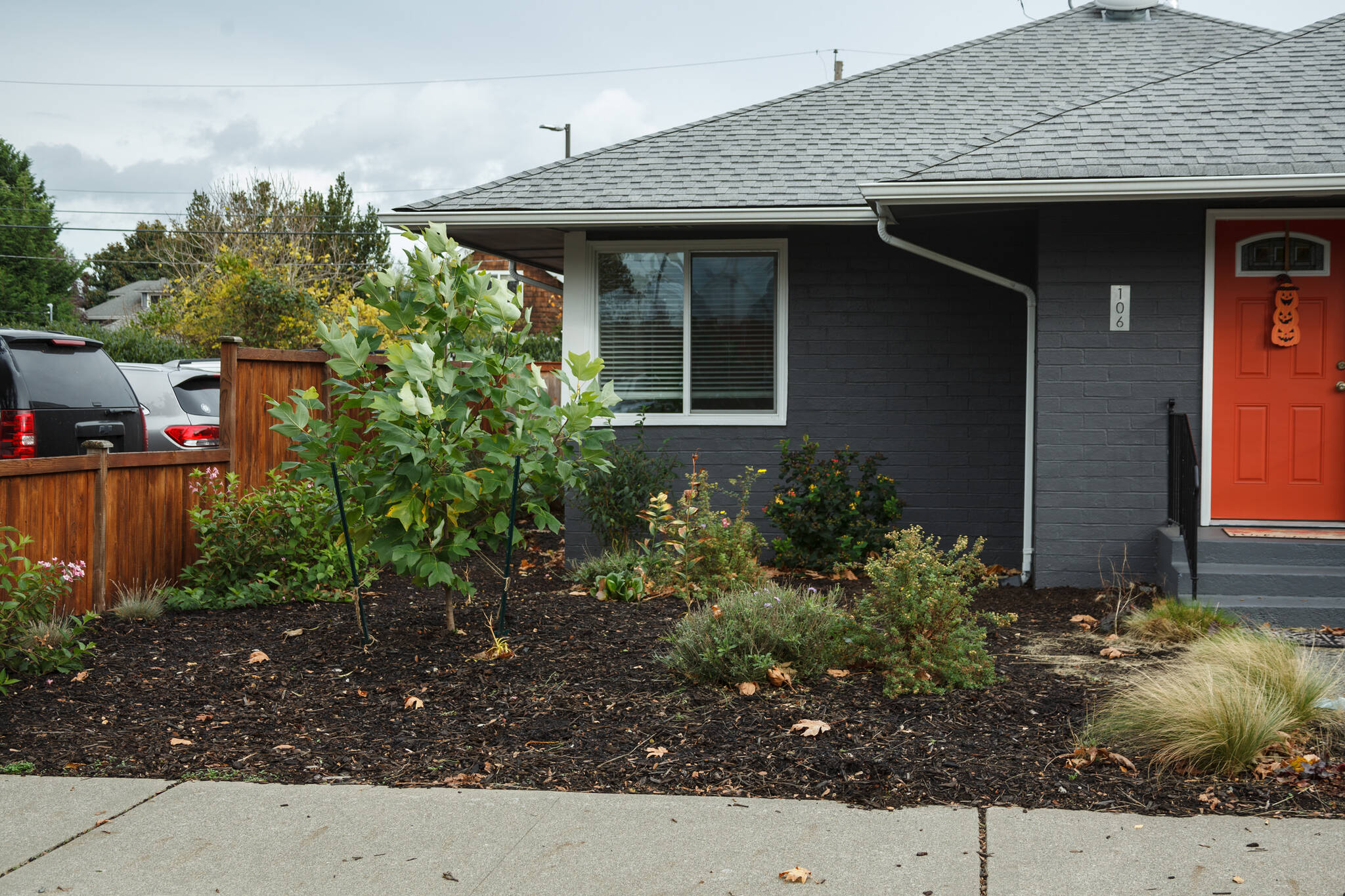 Example of what it can look like when you replace a grass lawn with native plants. Photo by Henry Stewart-Wood/Sound Publishing