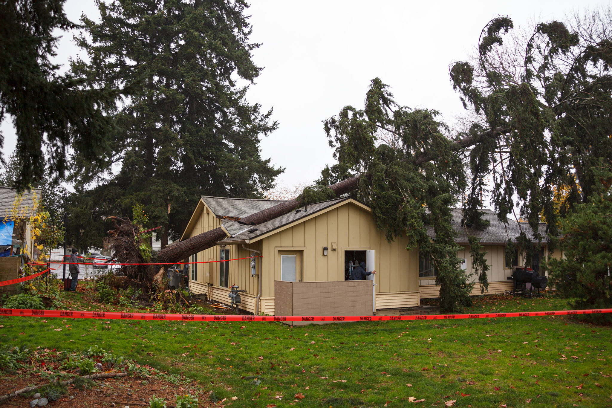 Tree fallen on a house near Les Gove Park in Auburn on Monday, Nov. 15. High winds and fallen trees caused several power outages in the Auburn area. Photo by Henry Stewart-Wood.