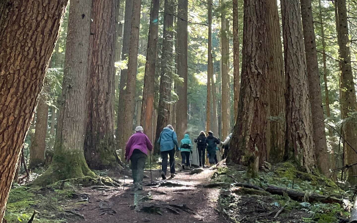 Recent Auburn senior center hiking group trip. 
Courtesy photo