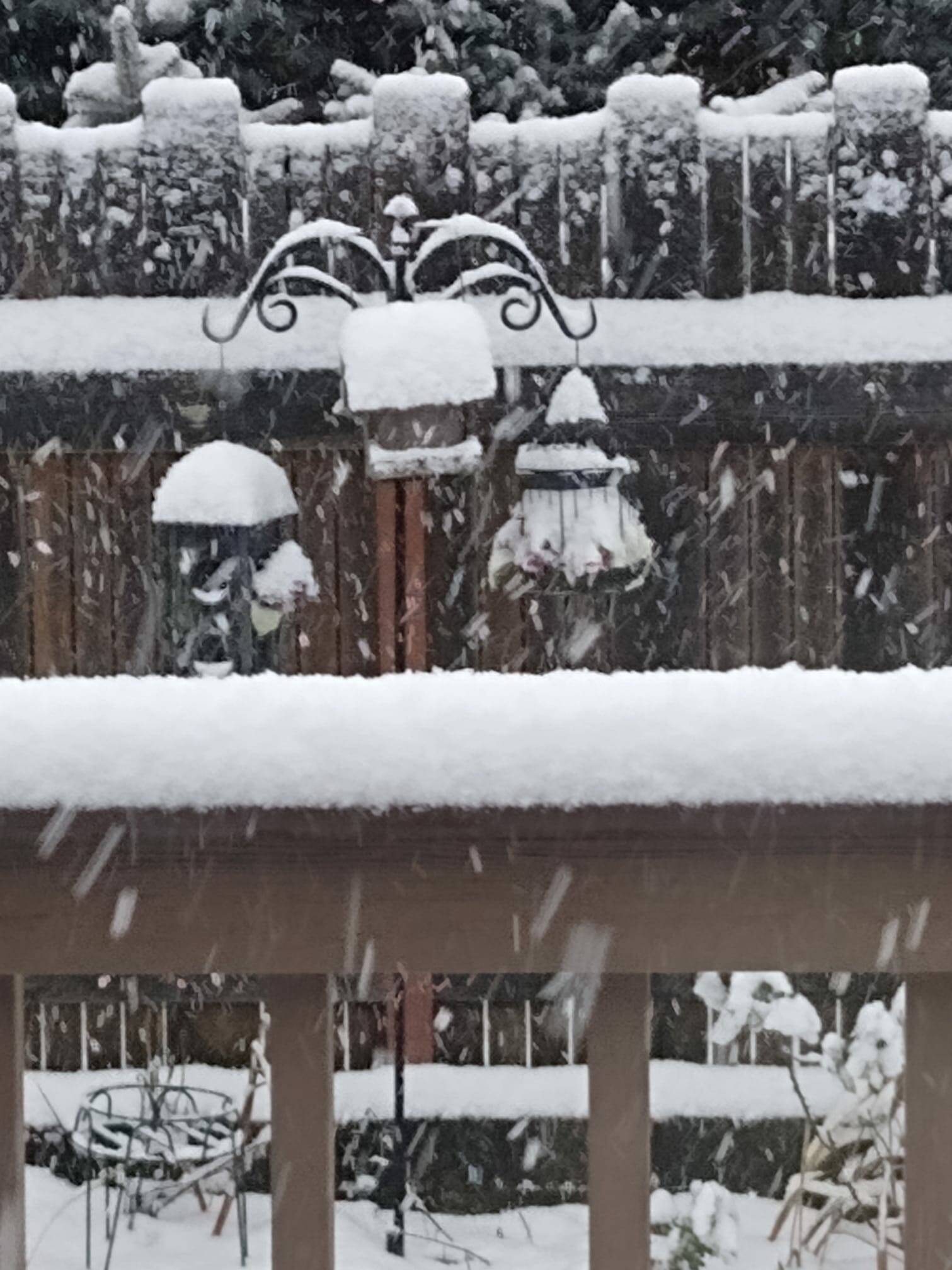 Snow on the deck rail and on some yard art near E. Main and R Street NE. Photo submitted to Auburn Reporter by Sandee Umphries Almaas.