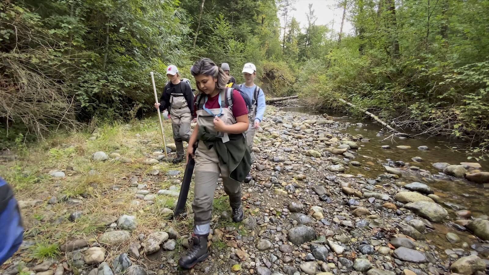 Stream Team environmental aides on their way to study a stream’s health. Screenshot taken from King County Department of Natural Resources and Parks