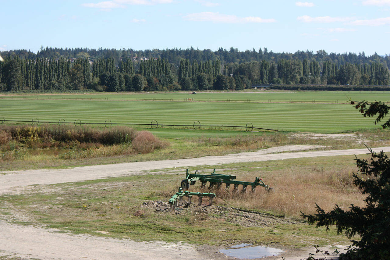 The Sammamish Valley is home to a collection of farms, wineries and tasting rooms. File photo