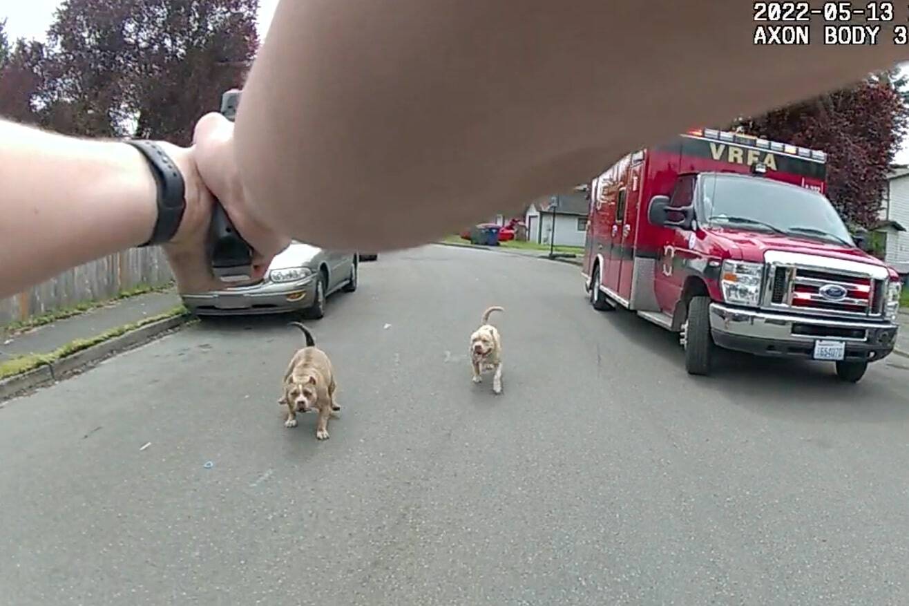 This screenshot from Auburn Police Department bodycam footage shows an officer about to fire his weapon and kill dog on May 13, 2022.