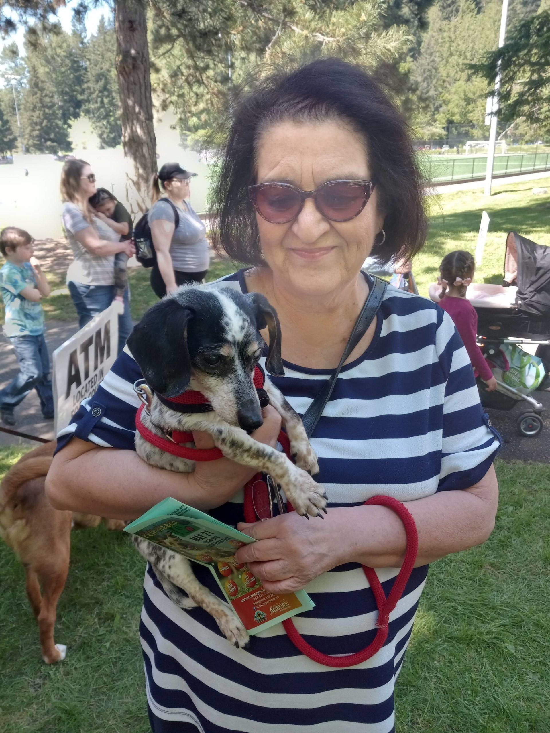 Photo by Robert Whale, Auburn Reporter
Sue Smith of Tacoma cradles her 13-year-old rat terrier at the Petpalooza event May 21 at Game Farm Park.