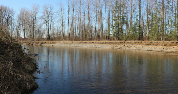 File photo
The Green River runs through the Kent valley and hasn’t experienced major flooding since the Howard Hanson Dam was built in the 1960s. However, in 2009, the dam was found to not provide as much protection as previously thought, and the county is exploring ways to flood-proof the river.