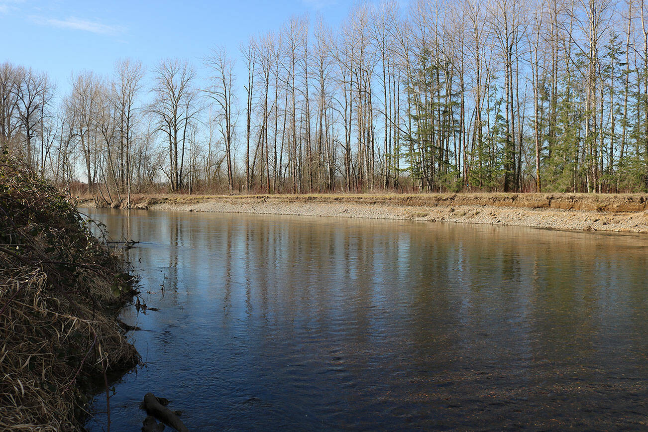 File photo
The Green River runs through the Kent valley and hasn’t experienced major flooding since the Howard Hanson Dam was built in the 1960s. However, in 2009, the dam was found to not provide as much protection as previously thought, and the county is exploring ways to flood-proof the river.